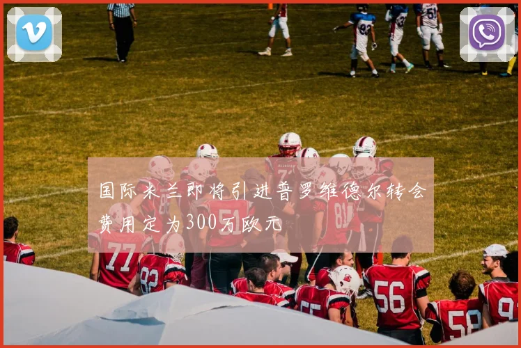 国际米兰即将引进普罗维德尔转会费用定为300万欧元